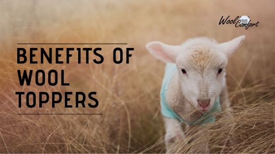 A list of Benefits of Wool Mattress Toppers