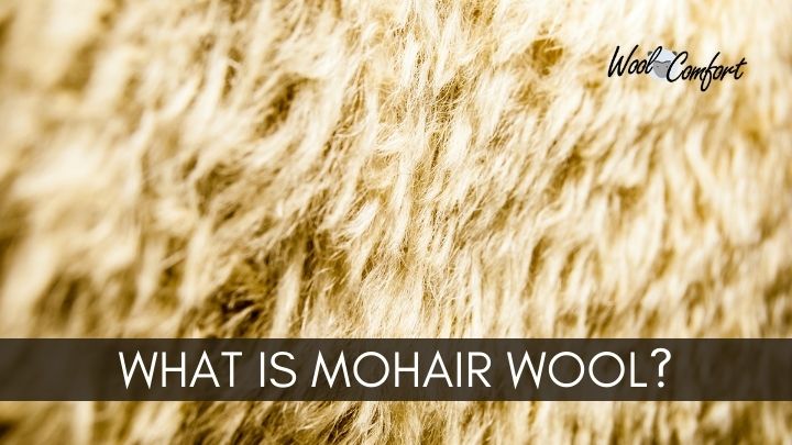 Read more about the article What Mohair Is? Everything you need to know about Mohair